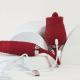Désir Atelier Daisy Vermelho - Vibrador Clitoriano e Vai e Vem Língua (3)