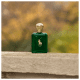 Polo Green Ralph Lauren Eau de Toilette - Perfume Masculino 40ml (7)