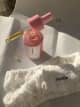Nantie Rosa Mosqueta - Óleo Hidratante 30ml (5)