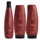 Kit Aneethun Force System (3 Produtos) (1)