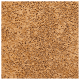 Base Cushion FPS 40 Cor 5 - 14g (5)