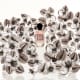 O.U.i La Violette - Eau de Parfum Feminino 75ml (3)