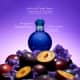 Midnight Fantasy Britney Spears Eau de Parfum - Perfume Feminino 100ml (4)