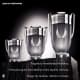 Invictus Platinum Rabanne Eau de Parfum - Perfume Masculino 100ml (4)