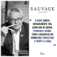 Sauvage Dior Eau de Toilette - Perfume Masculino 100ml (5)
