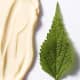 Shiseido Future Solution LX Total Regenerating - Creme Anti-Idade Noturno 50ml (6)