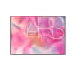 Paleta de Blushes NARS Exposed Cheeks (11)