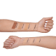 L'Bel Matiffiant FPS 15 Medium 5 - Base em Mousse 30g (5)