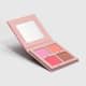Paleta de Blush Collection 14,8G (2)