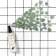 PHYTODETOX Spray Neutralizador de Odores - 150ml (3)