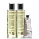 Kit Love, Beauty and Planet - Shampoo + Condicionador 300ml Energizing Detox + Creme de mãos Delicious Glow (2)