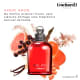 Amor Amor Cacharel Eau de Toilette - Perfume Feminino 50ml (4)