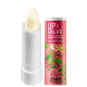 Labot Lipx Salve - Hidratante Labial 3,5g (1)