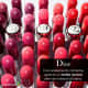 Dior Addict Stellar Halo Shine 667 Pink Star - Batom Cintilante 3,2g (3)