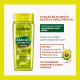 DaBelle Hair Abacate Nutritivo - Shampoo 250ml (2)