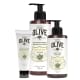 Kit Korres Greek Olive - Flor de Oliveira