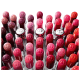 Dior Addict Stellar Shine 609 French Pink - Batom Cintilante 3,2g (2)