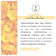 Pharmacy Botanicals - Toalhas Antissépticas (30 Unidades) (5)