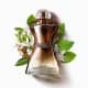 Combo Glamour Fever Desodorante Colônia 75ml + Nécessaire Envelope Dourado (2)