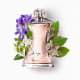 Glamour Desodorante Colônia 75ml (2)