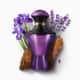 Alchemists Iris Eau de Parfum 75ml (2)