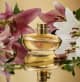 Lily Eau de Parfum 75ml (3)