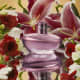 Love Lily Eau de Parfum 75ml (5)