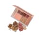Palette Multifuncional #1 Rose Intense 13,2g (2)
