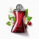 Glamour Diva Desodorante Colônia 75ml (2)