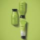 Nativa Spa Esfoliante Capilar Detox Matcha, 175 ml (3)