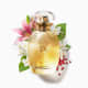 L'eau de Lily Desodorante Colônia 75ml (4)