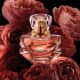 Combo Magnific: Eau de Parfum + Creme Acetinado (2)