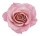 Leave-In Capilar Siàge Nutri Rosé 100ml (4)