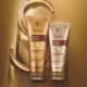 Kit Siàge Nutri Ouro Shampoo + Condicionador (Nova Versão) (2)