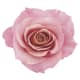 Shampoo Siàge Nutri Rose 250ml - Eudora (4)