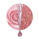 Shampoo Siàge Nutri Rose 250ml - Eudora (2)