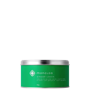 Moncloa Ginger Lemon - Chá Infusão