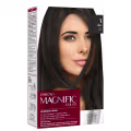 Amend Magnific Color 2.1 Preto Azulado - Coloração 200g