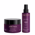 Kit Aneethun No Frizz  Máscara 250g + Leave In Selante 120ml