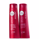 Kit Joico Color Endure Duo (2 Produtos) (1)