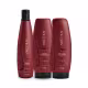 Kit Aneethun Force Shampoo 300ml + Máscara 250g + Finalizador 250g (4)