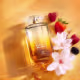 Rebelle Boldness Deo Colônia 75ml (2)