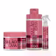 KIT EICO SALÃO EM CASA HIDRATAÇÃO INTENSA SHAMPOO 450ML+ SPRAY 120ML + MASCARA 270G (2)