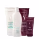 Kit Senscience Silk Moisture Lock Inner Home Care 200 Leave-in (4 produtos) (2)