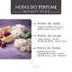 Máscara Matizadora Blondefy Toner Phyto Ativo Silver Blond 400g (5)