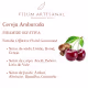 Filum Artesanal Home Spray de Ambiente Cereja Ambarada 200ml (1)