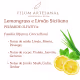Filum Artesanal Home Spray de Ambiente Lemongrass e Limão Siciliano 200ml (2)