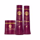 Kit Shampoo Condicionador e Máscara Disciplinante Liso com Força Haskell 500ml (4)