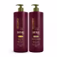 Kit Shampoo e Cond Shitake Plus 1L – Bio Extratus (1)
