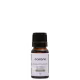 Océane Eucalyptus - Óleo Essencial 10ml (1)